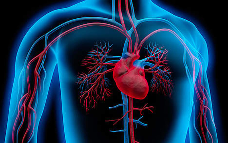 What Is Chronic Heart Failure And How To Keep The Heart Away From This 