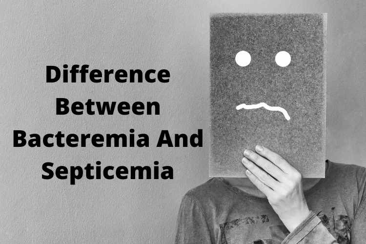 Difference Between Bacteremia And Septicemia