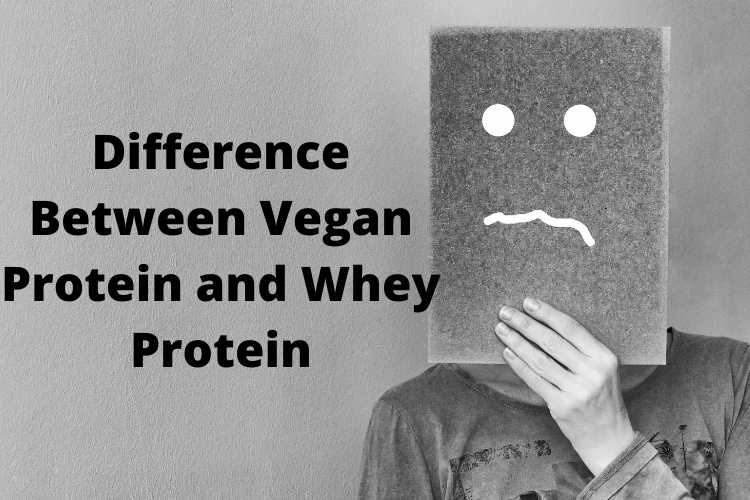 Difference Between Vegan Protein and Whey Protein