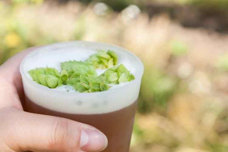 Health Benefits of IPA Beer: Is Beer Good For Your Health?