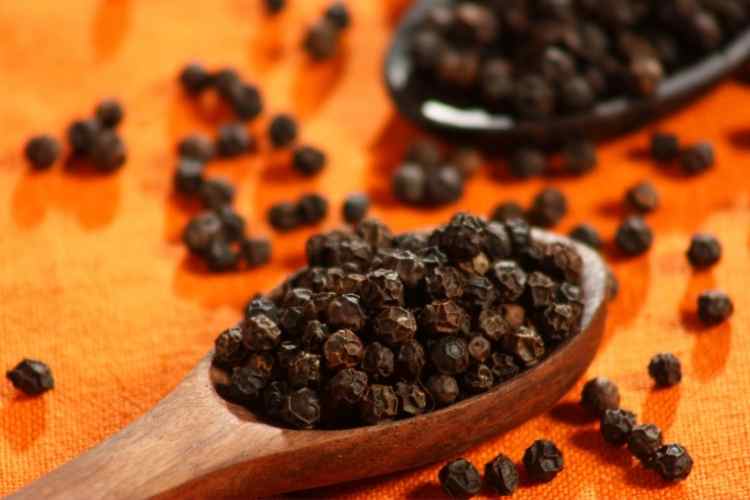 Health Benefits of Iyere (Piper guineense) -Know in Details