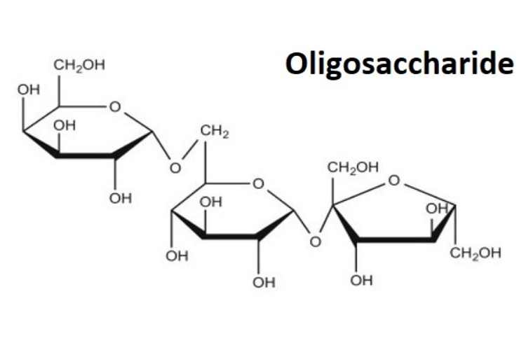 Health benefits of Oligosaccharides