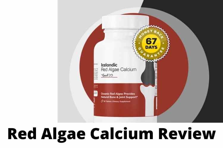 Red Algae Calcium Review: A Detailed Information about Icelandic Red Algae Calcium