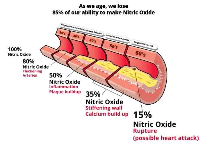 Buy VigRX Nitric Oxide