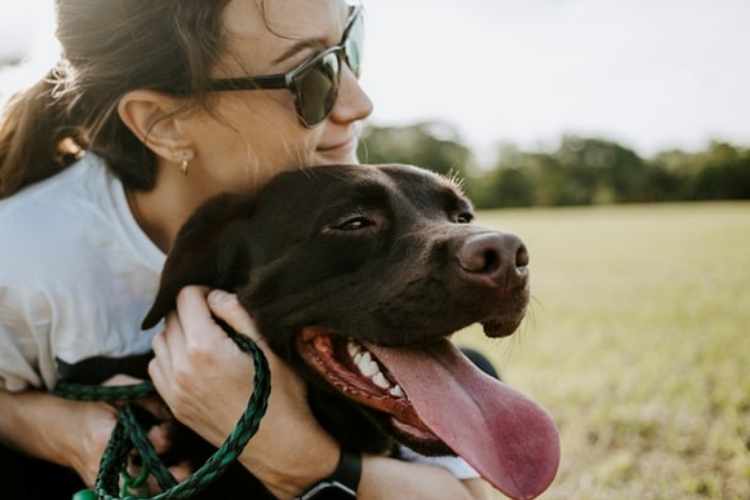 How To Help Your Pet Live Their Best Life