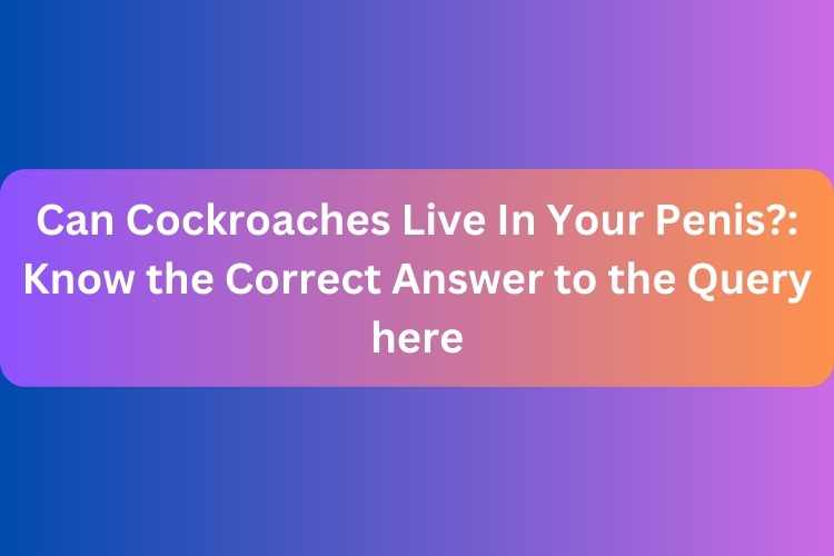 Can Cockroaches Live In Your Penis?: Know the Correct Answer to the Query here